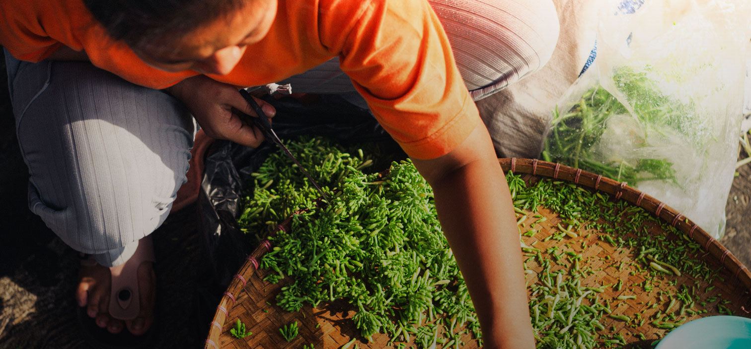 Issue 03: Mindful Eater